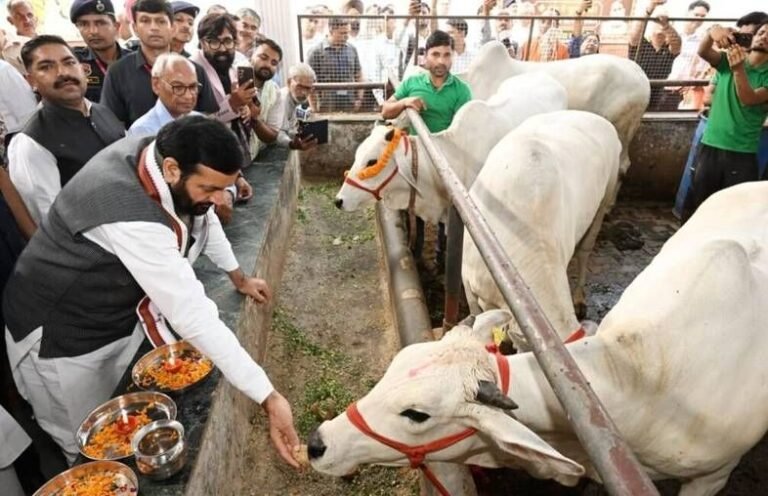 गोपाष्टमीः गौशालाओं को आत्मनिर्भर बनाने के प्रयास में सहभागी बने आमजन – नायब सैनी