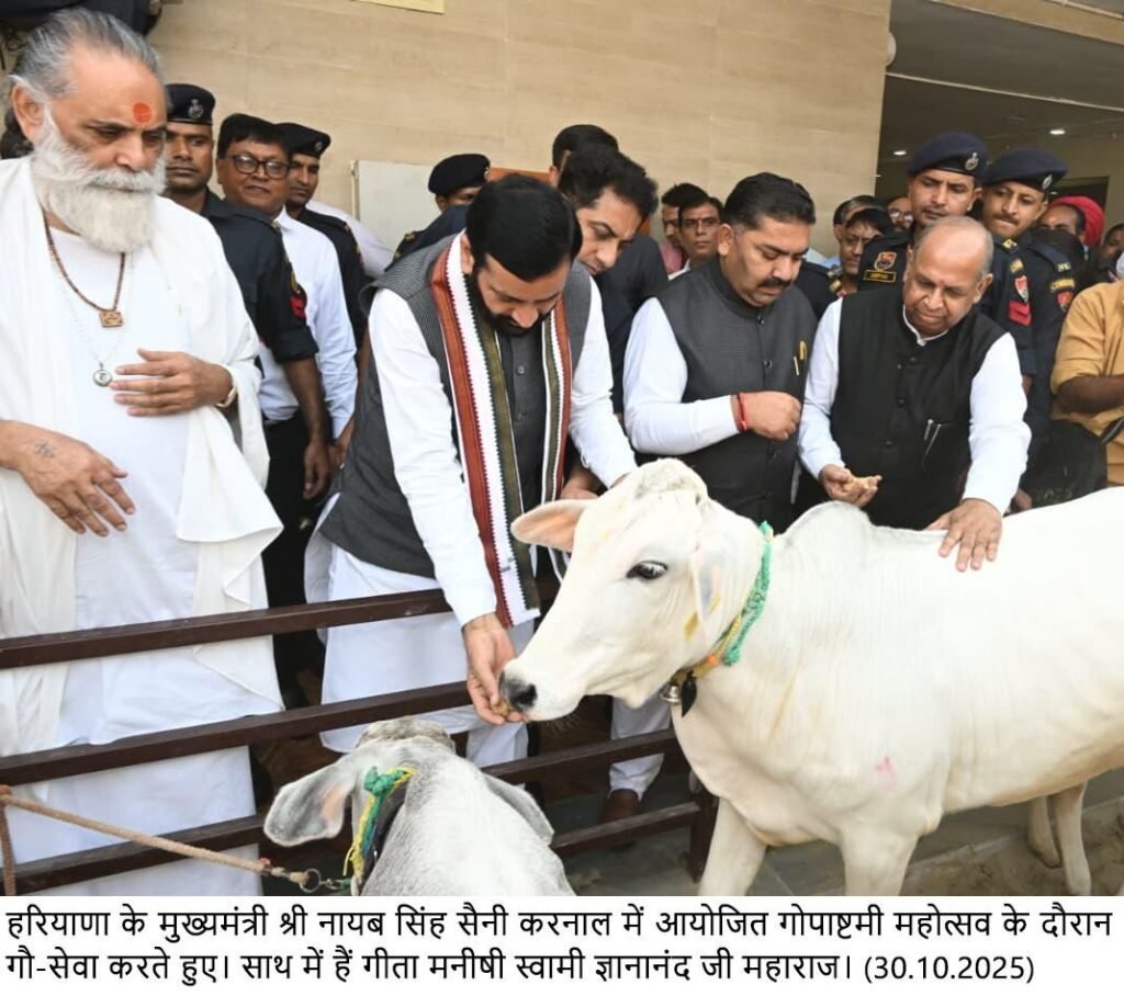 img 20251030 wa02725383985142457608103