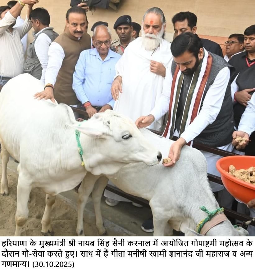 img 20251030 wa02733428694226818109965