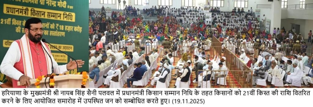 img 20251119 wa02358992543934077916876