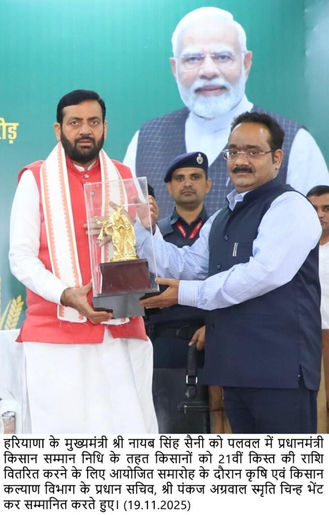 img 20251119 wa02361103931703185407347